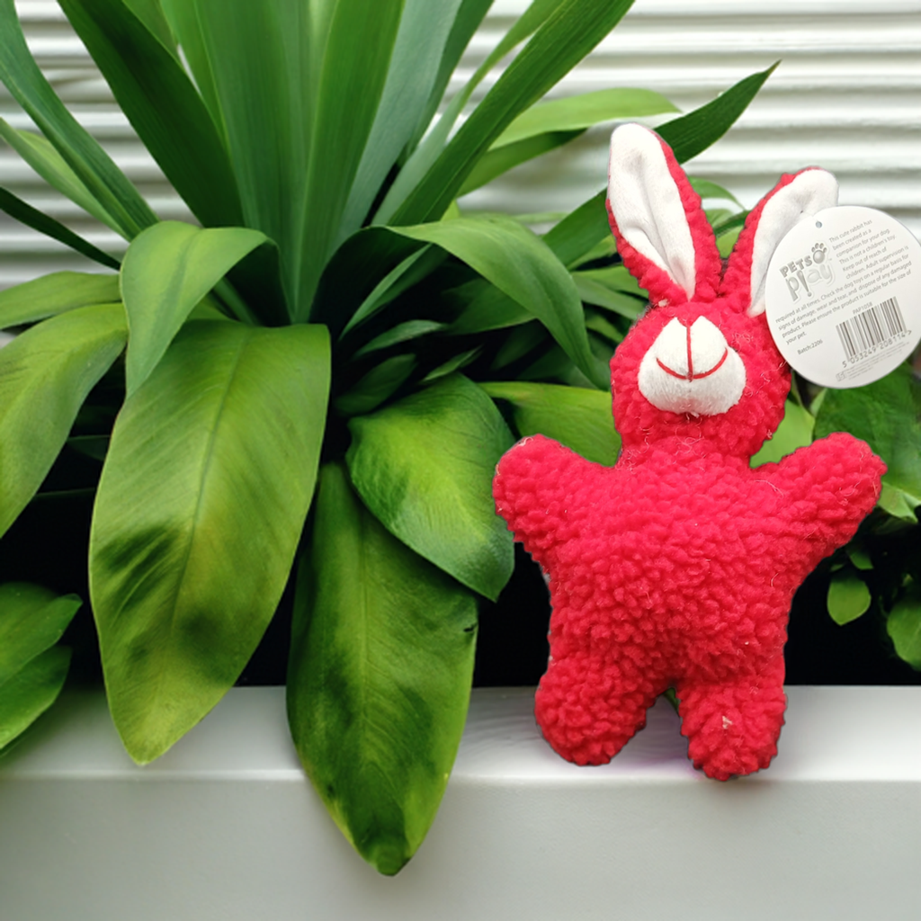 Plush Rabbit Toy. Small to Medium Size Dogs.