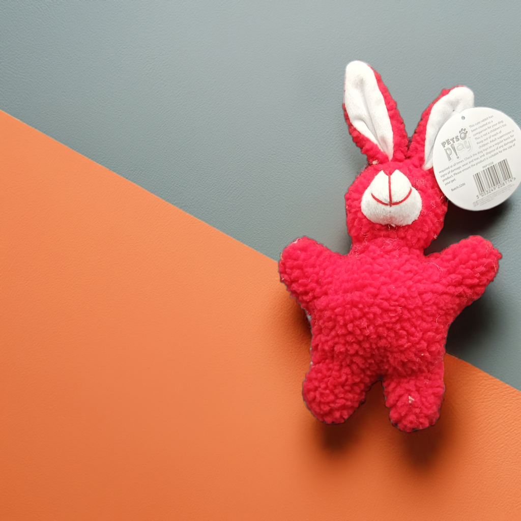 Plush Rabbit Toy. Small to Medium Size Dogs.