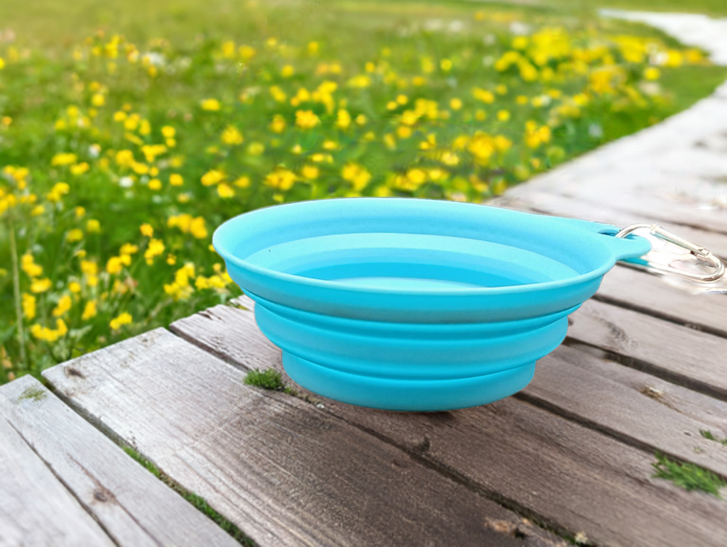Collapsible Dog Bowl