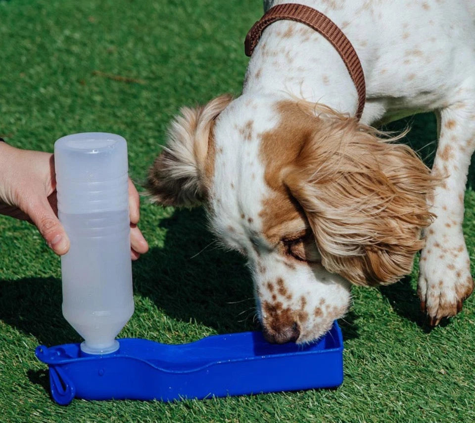 500ml Dog Folding Water Bottle