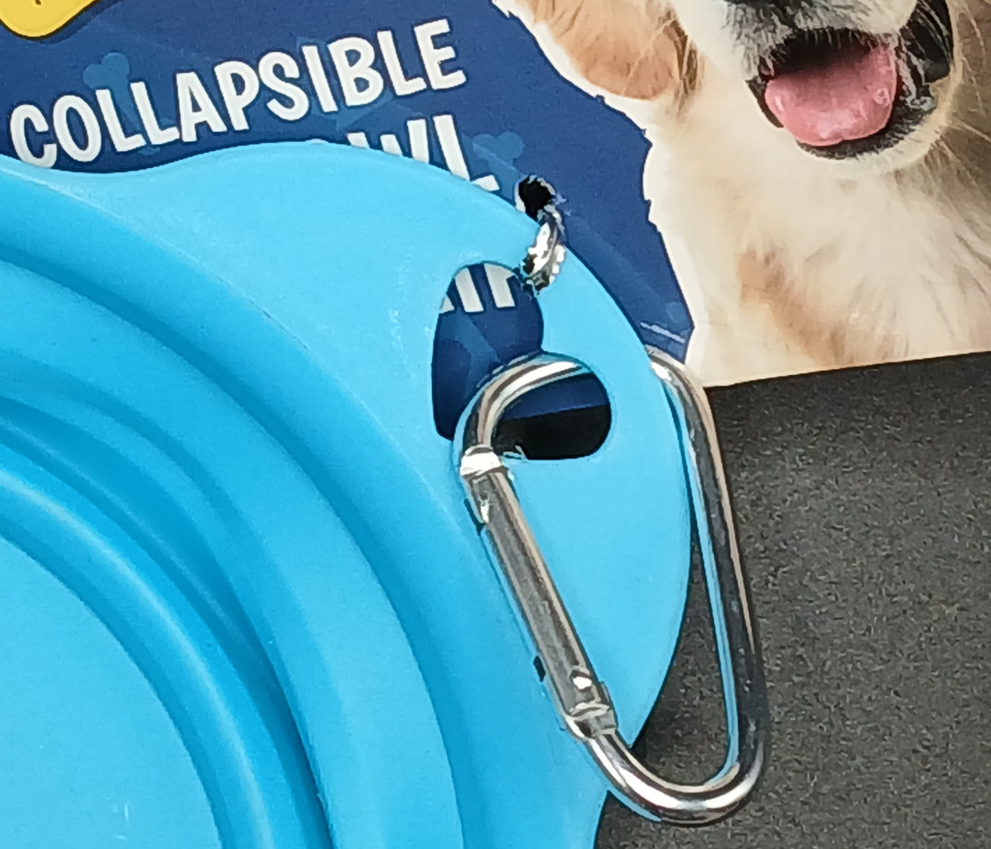 Collapsible Dog Bowl